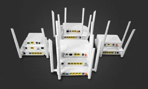 Optical Network Terminal (ONT)