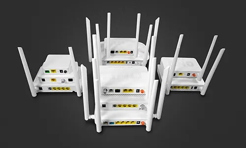 Optical Network Terminal (ONT)